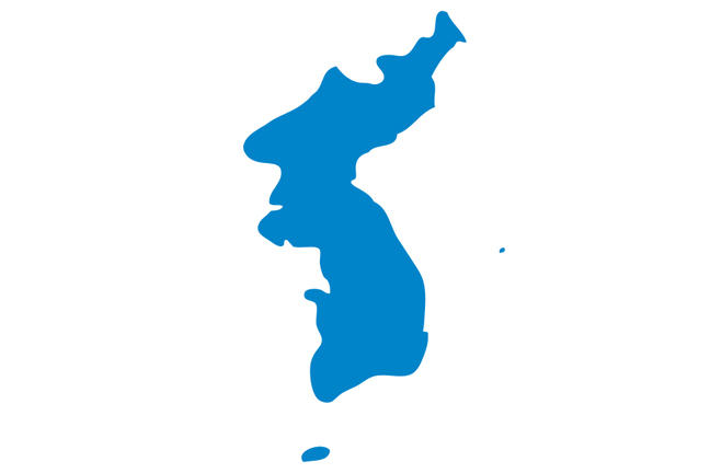 Reunification Flag