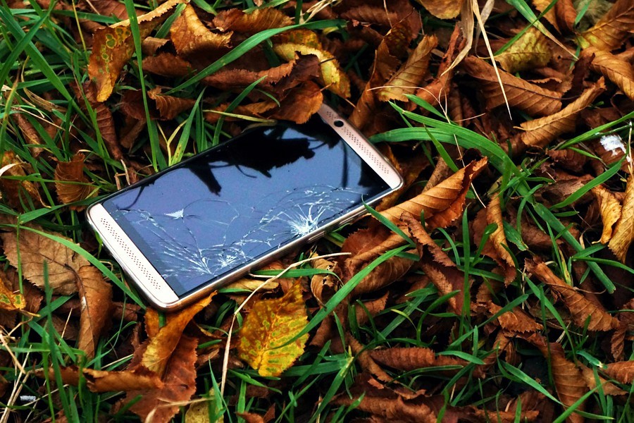 A mobile phone with a cracked screen lies on the ground amongst leaf-litter