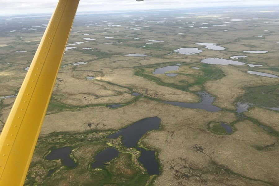 An aerial view of a thermokarst landscape dotted with many small lakes in the Alaskan tundra.