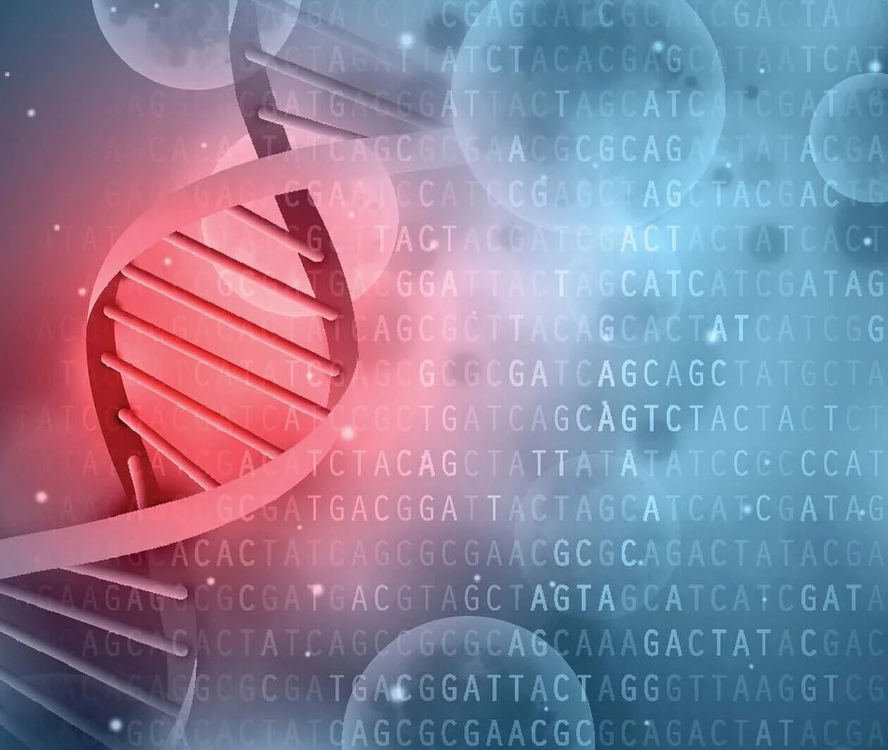 A blue and red illustration of DNA. 