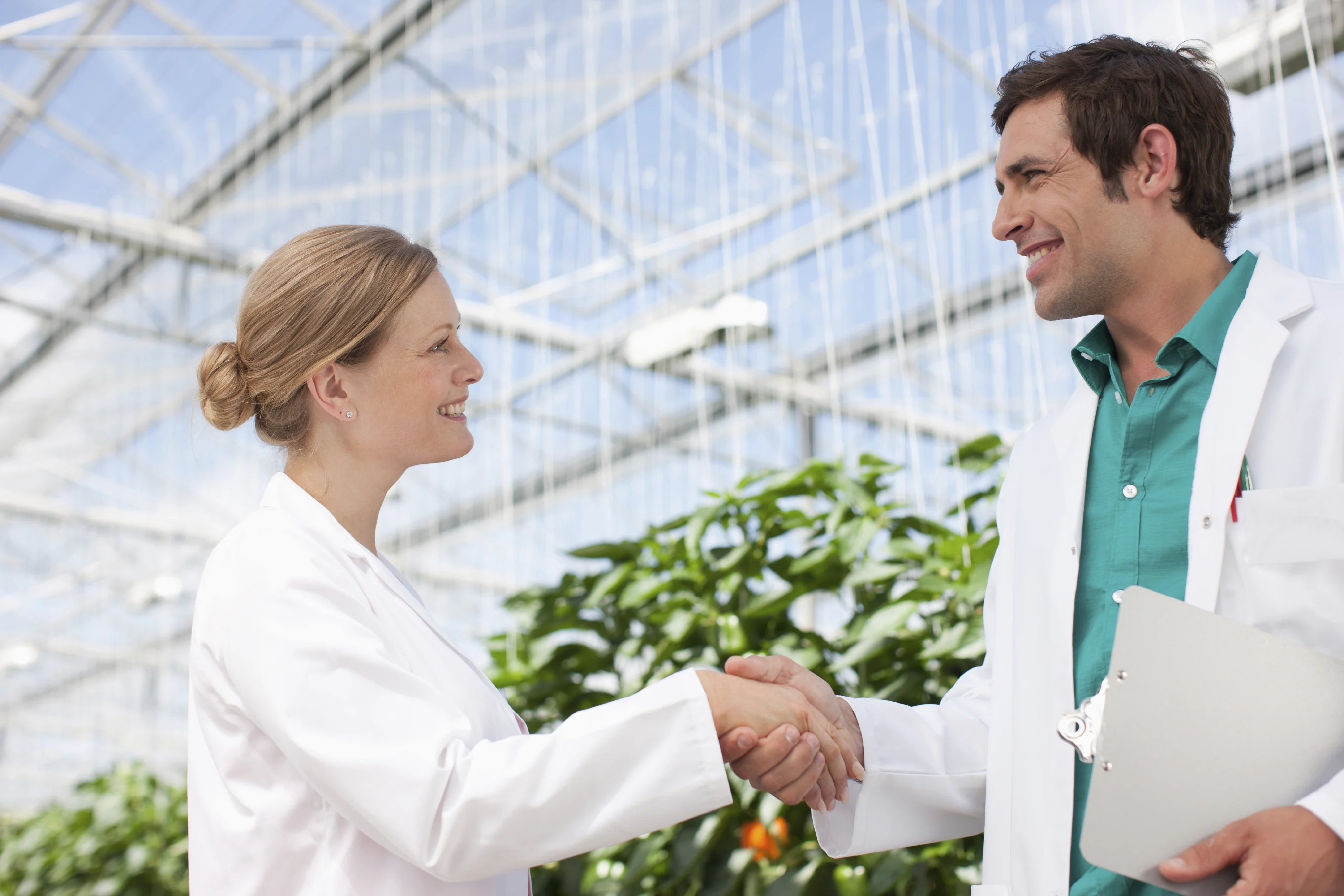 Scientists shaking hands in greenhouse