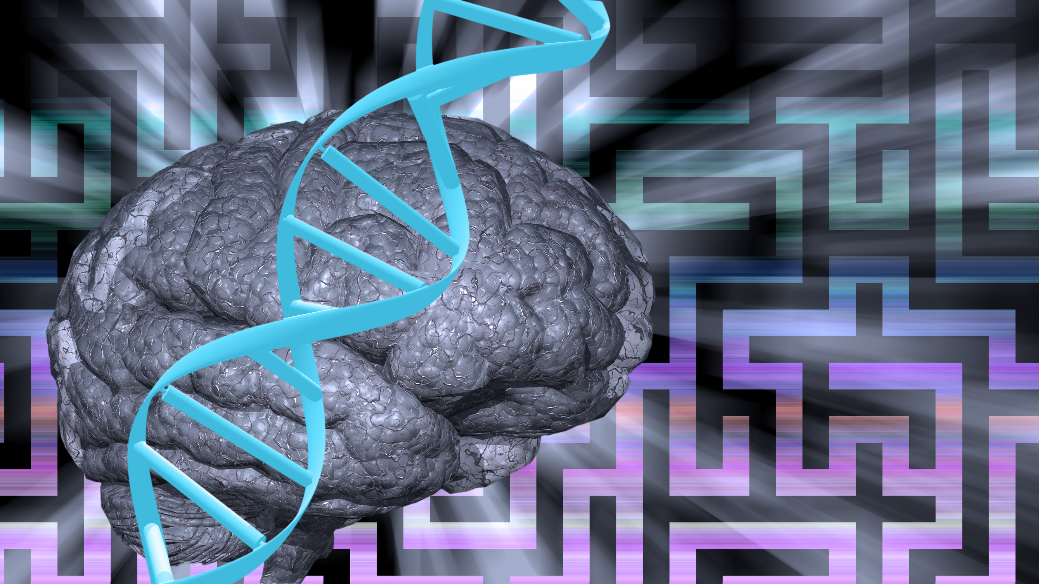 Huntington's disease brain