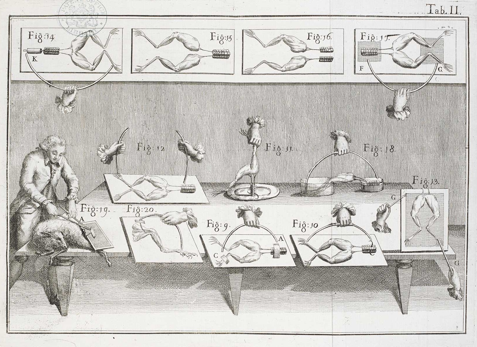 An illustration from Luigi Galvani's 1792 book on experiments with electricity.