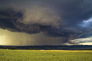 Summer storm