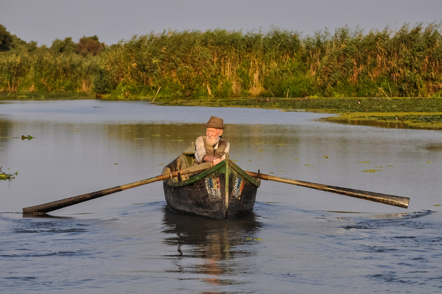 older adults rowing a boat