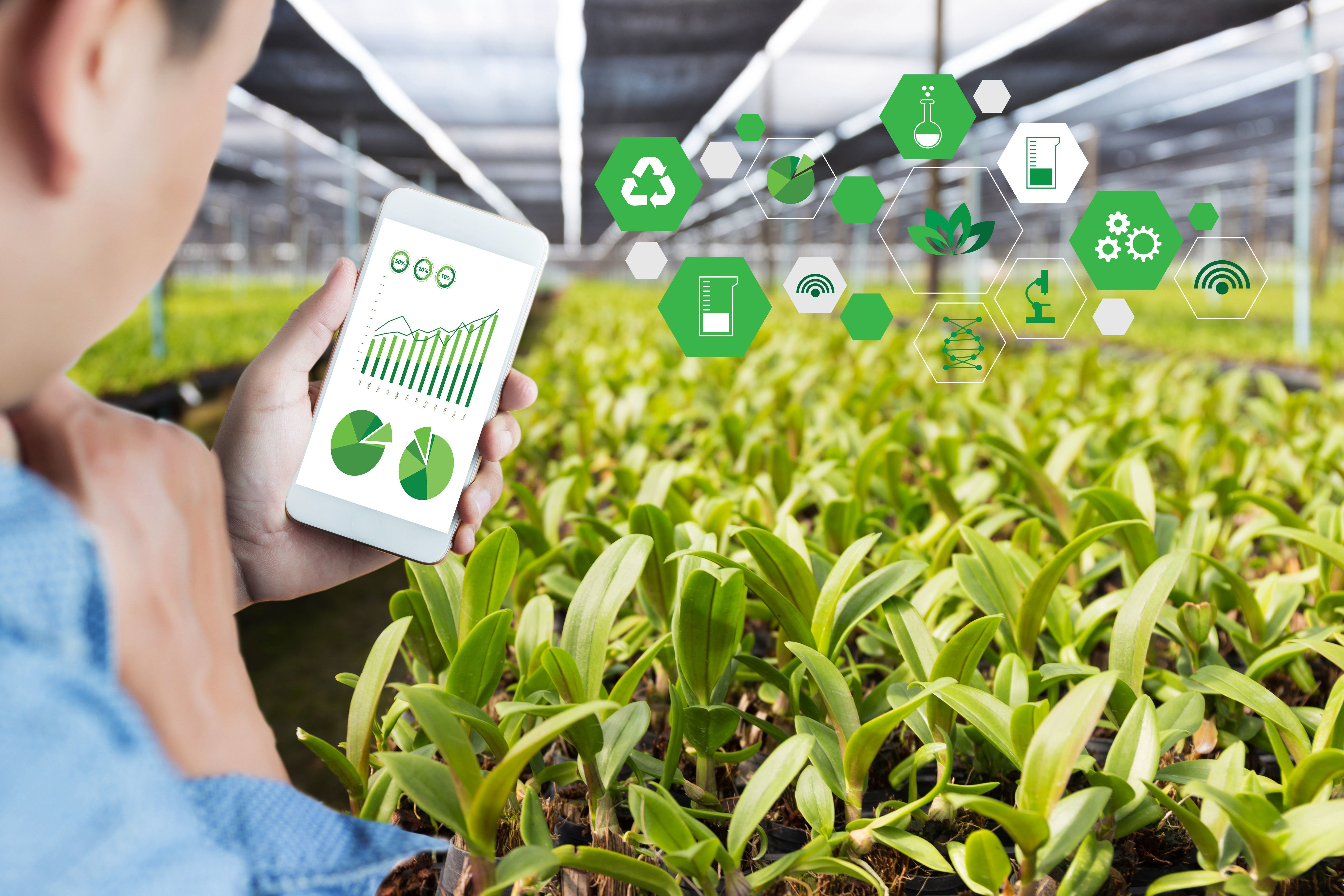 A photograph of a large commercial growing area, with a man using a smartphone  superimposed on top.