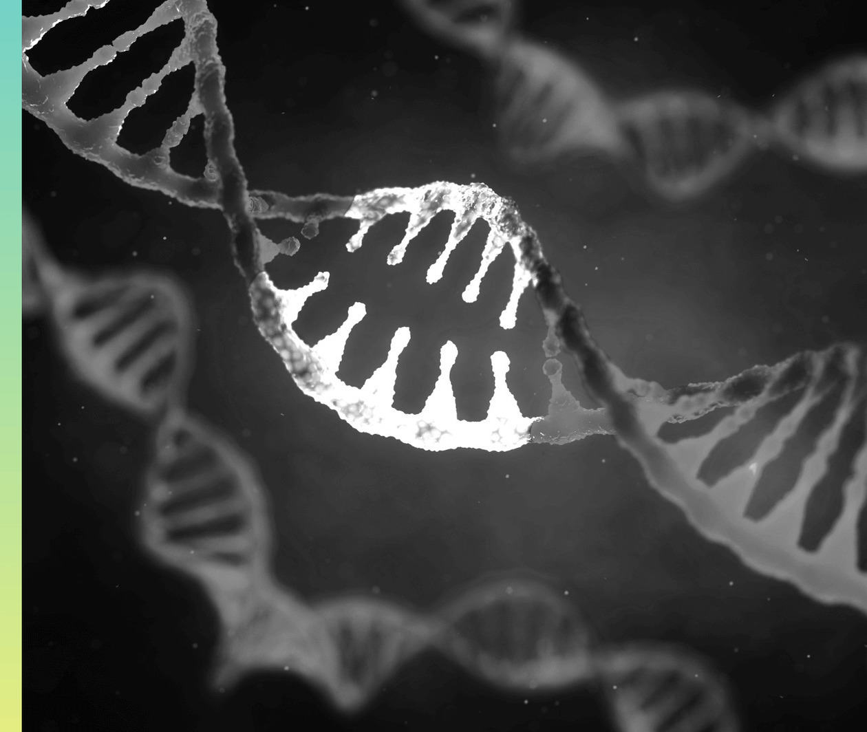 MedTech: Exploring the Human Genome