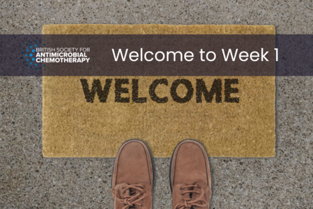 "Welcome" mat, with BSAC logo and text reading "Welcome to week 1"