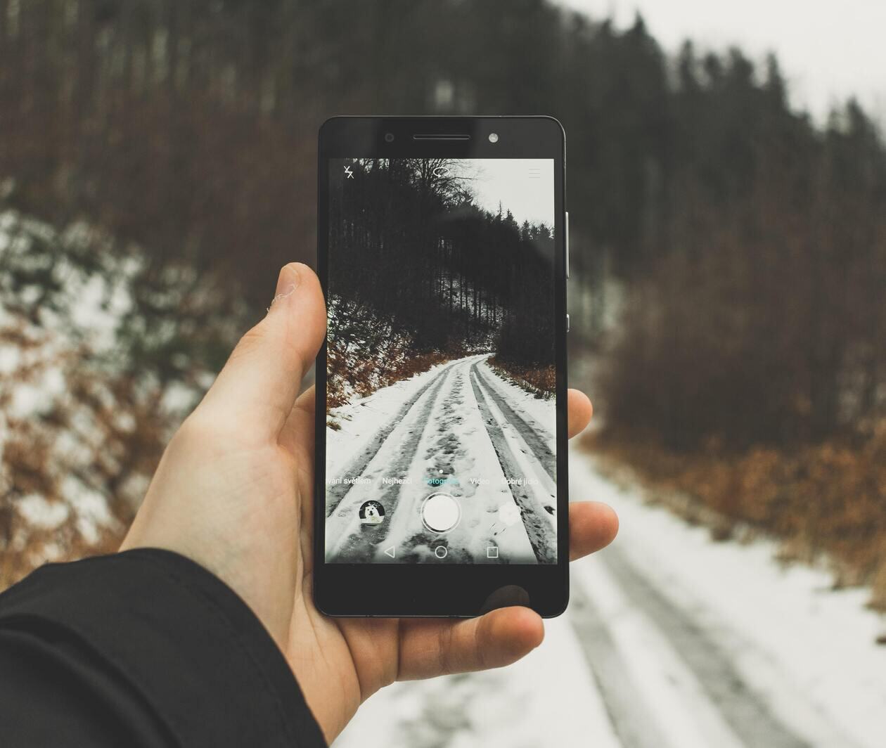 A hand holding a phone up to take a photo in the wilderness