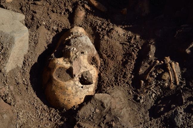 The skull of a skeleton that is being excavated