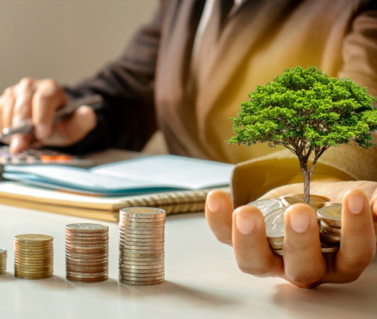 Growing tree in the hands of a businessman