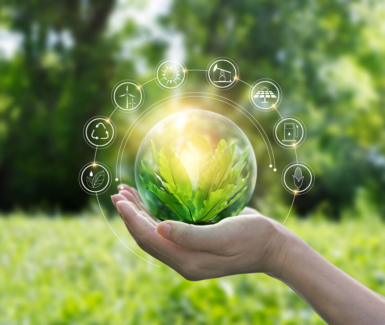 hands holding a bright ball of leaves, with an overlay of icons signifying green actions