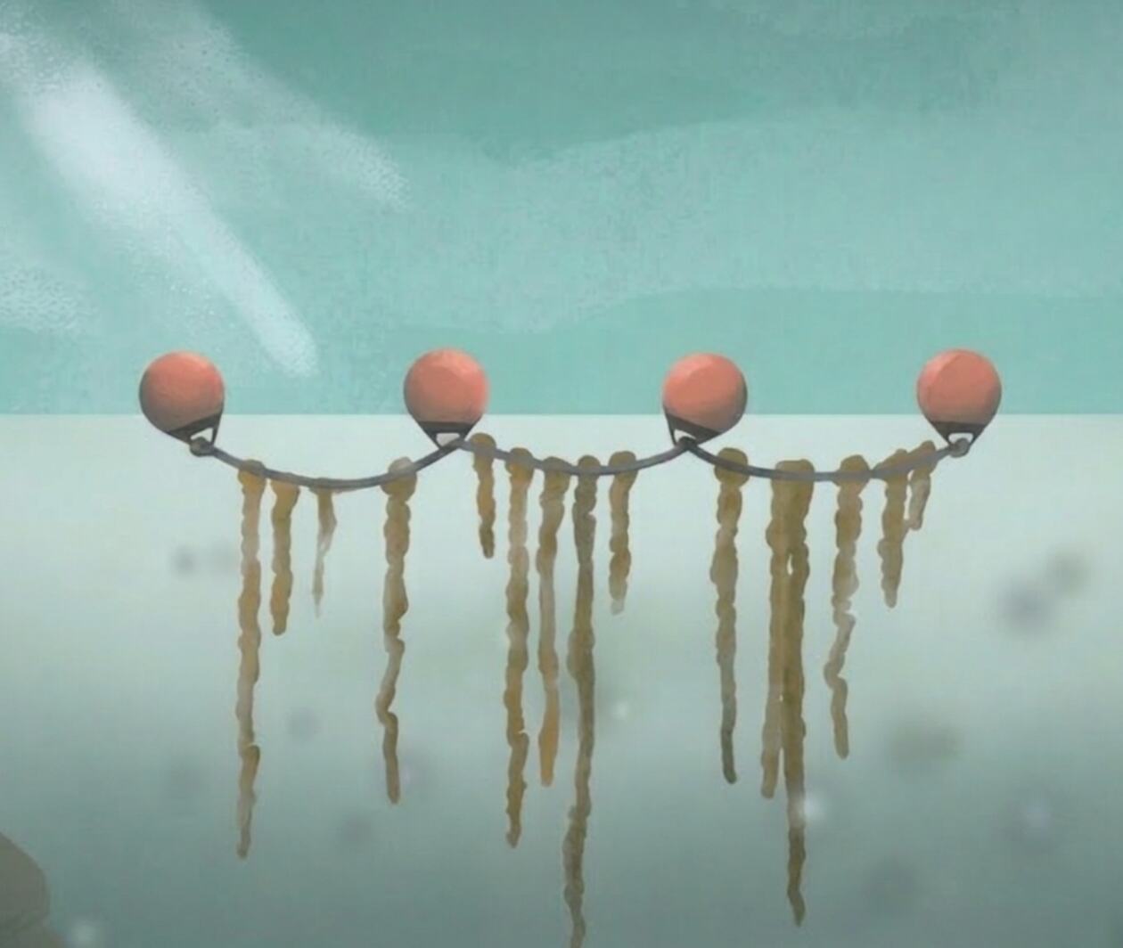 Underwater seaweed farm with algae growing on ropes