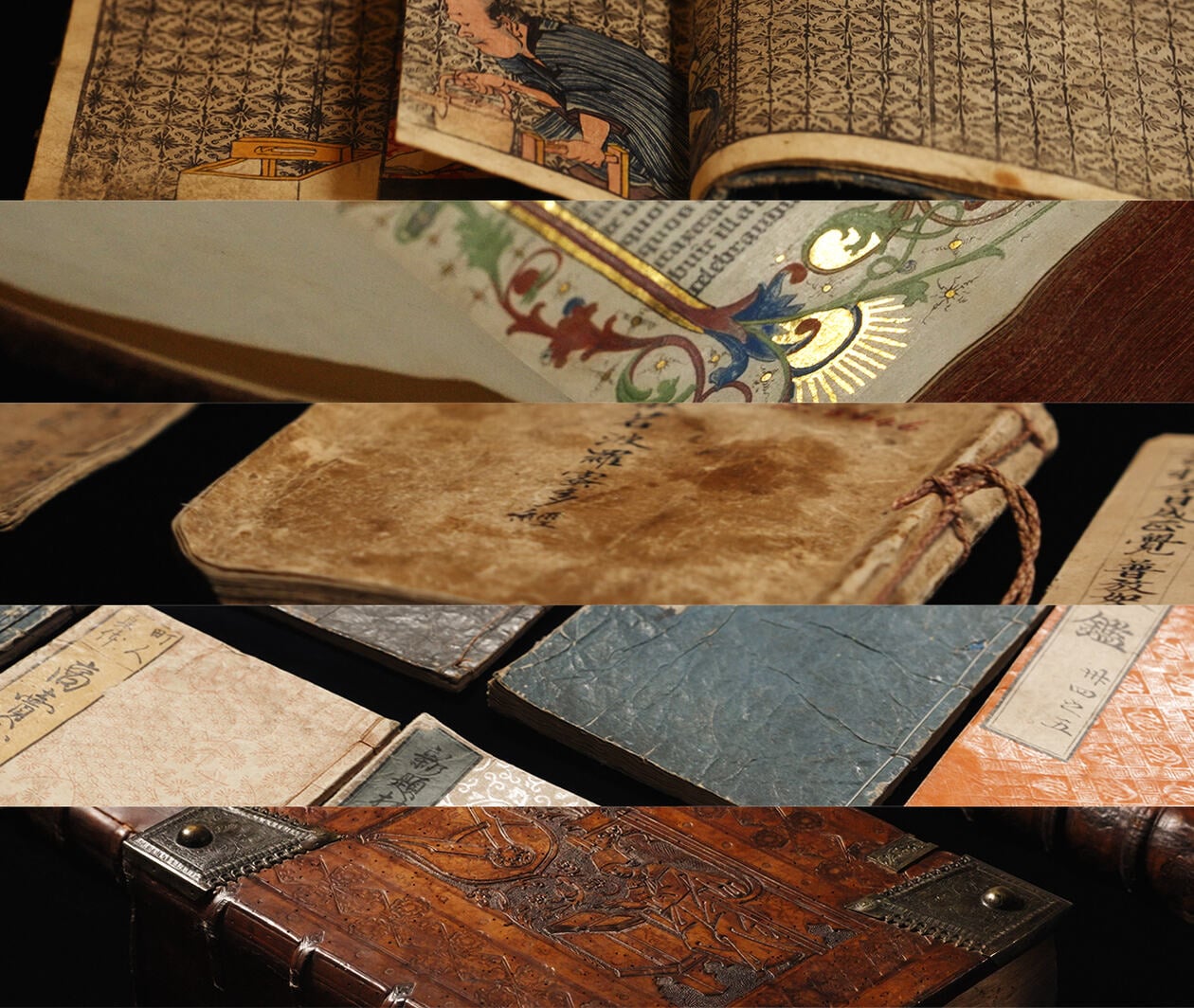 希少　Insights: Lectures and Stories header_e5bcf1d4-3ddf-4531-954b