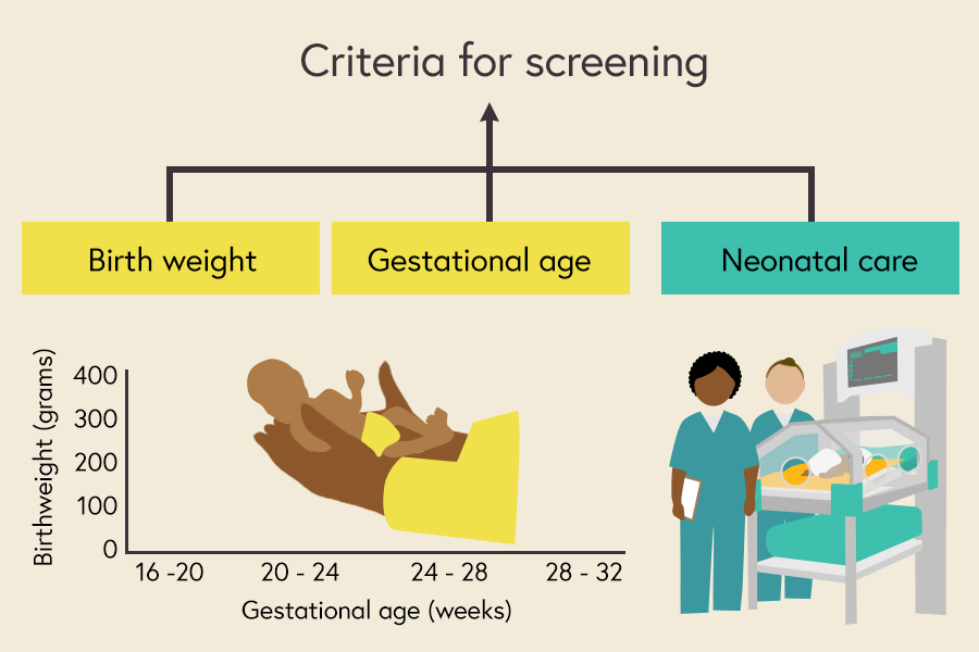 Illustration of the three main factors which influence screening - gestational age, birth weight and neonatal care