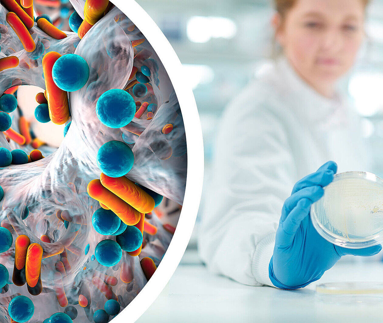 Lab worker holding petri dish with microscopic close up