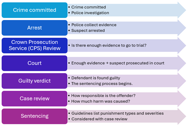 Where does sentencing fit in the criminal justice process?
