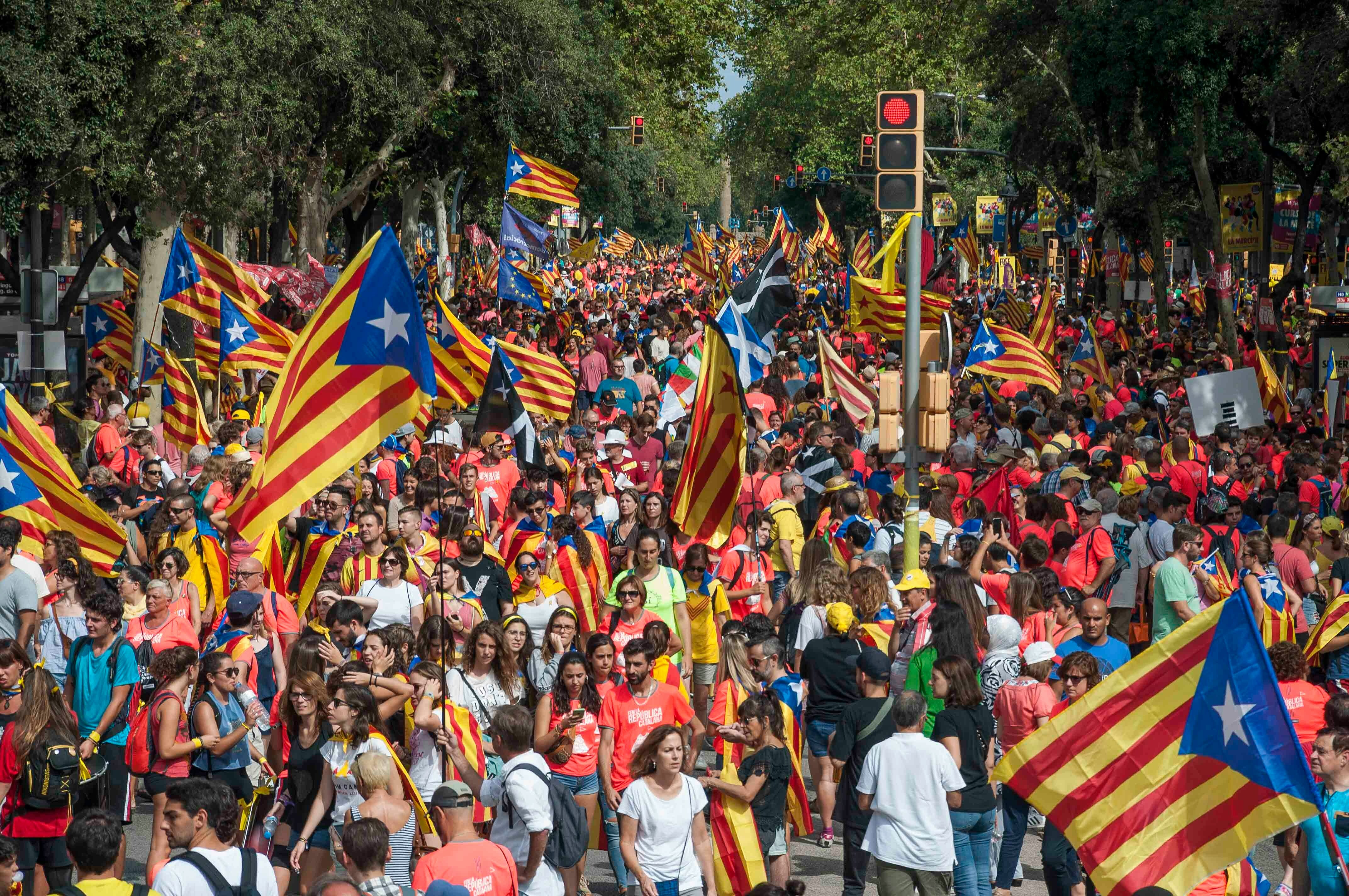 A crowd of people walking down a street holding flags