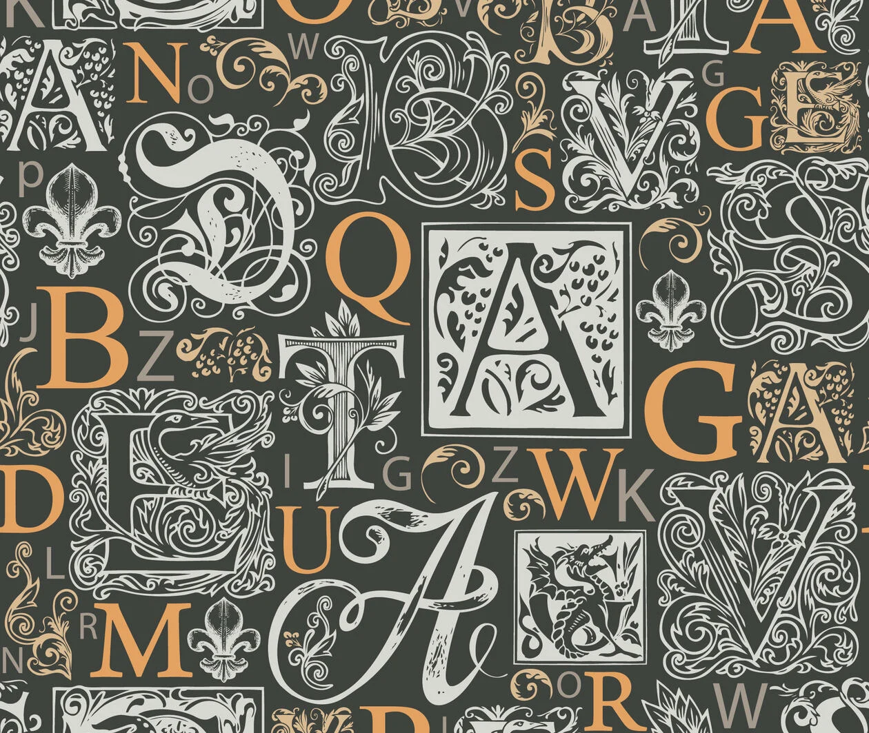 Letters in various fonts and typesets