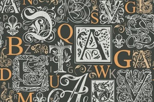 Letters in various fonts and typesets