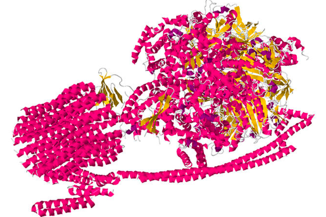 ATP molecular structure