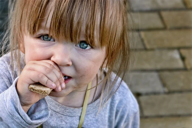 hungry girl eating a biscuit