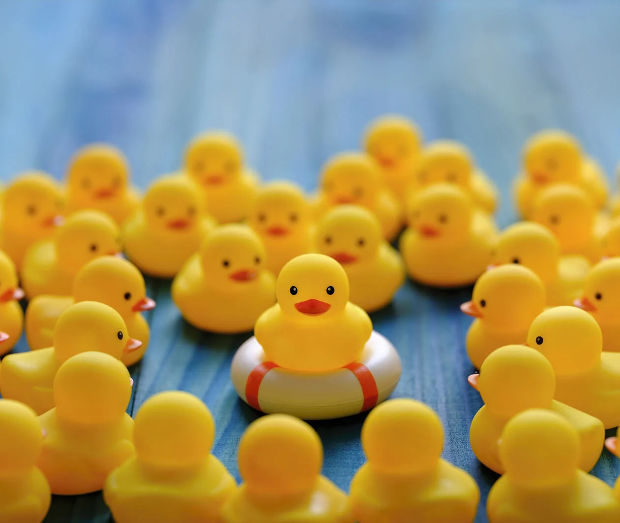 Rubber ducks with one in the middle on top of a life preserver buoy