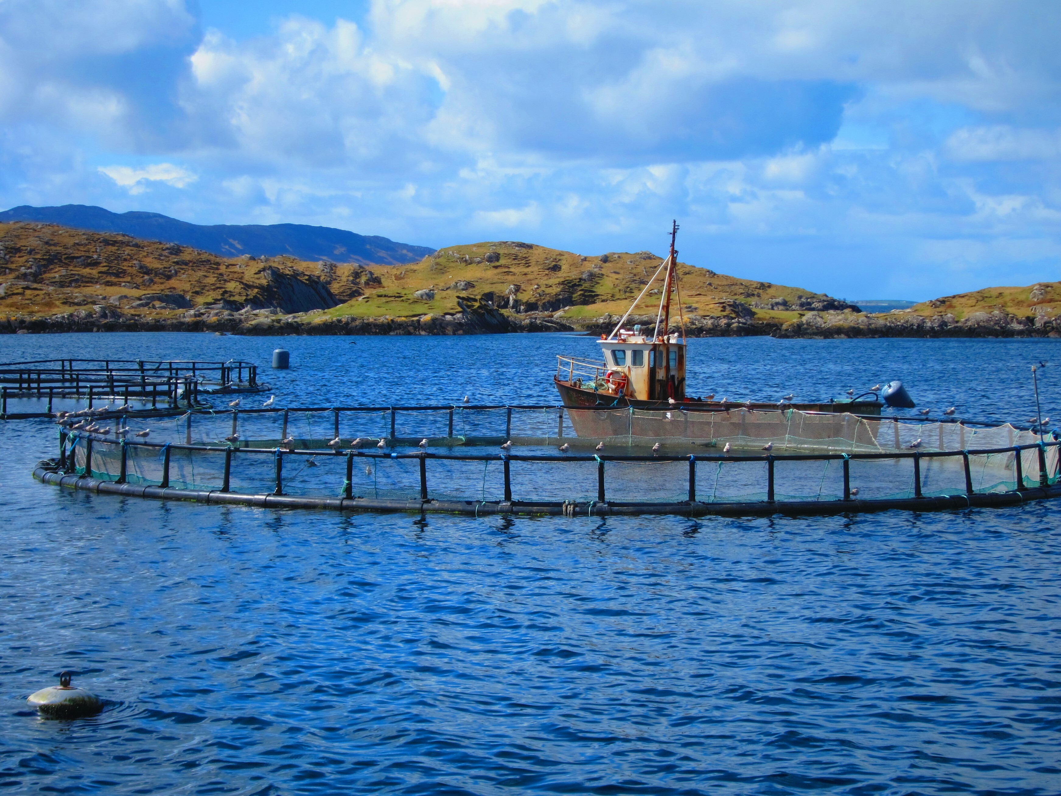 A bay in Ireland with a salmon farming pen in the foreground