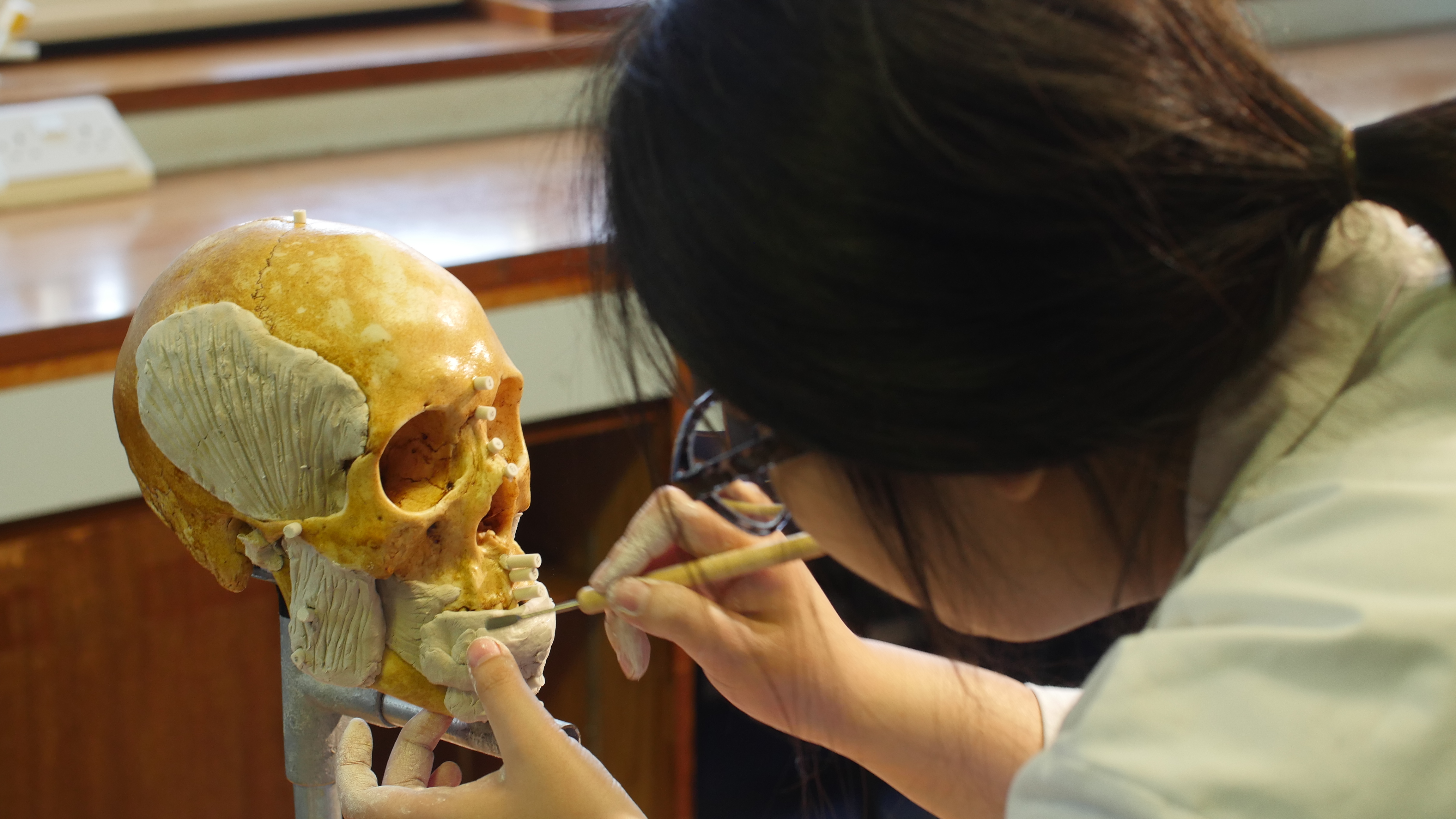 Our demonstrator conducting a facial reconstruction in clay