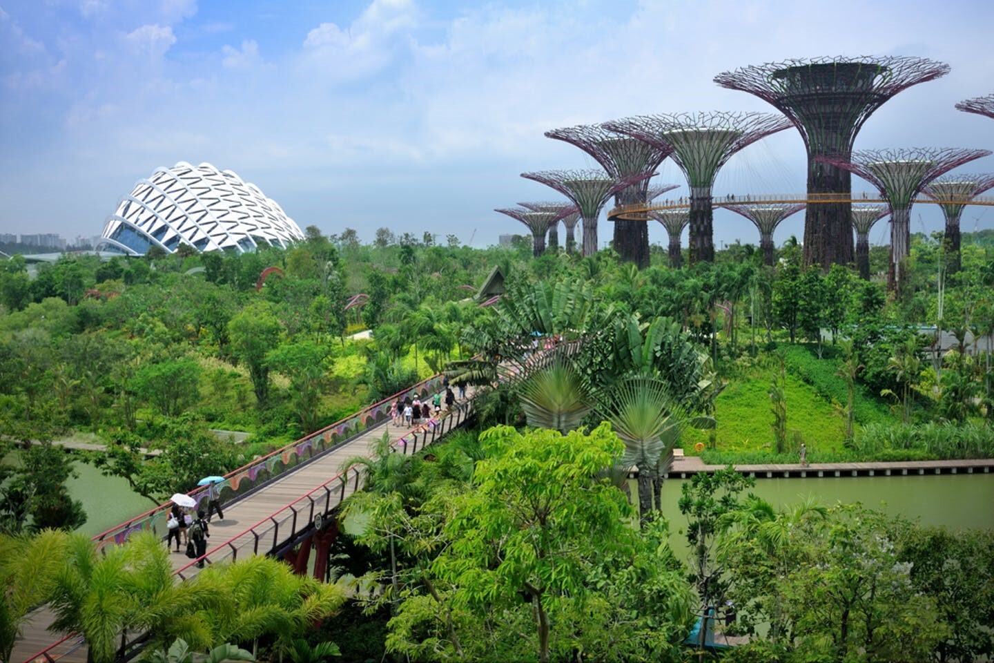 Walkway surrounded by lush vegetation. On the left a modern dome structure and on the right several savanna tree shaped steel towers