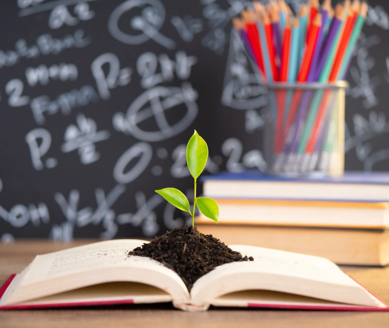 open book with small plant growing out of it