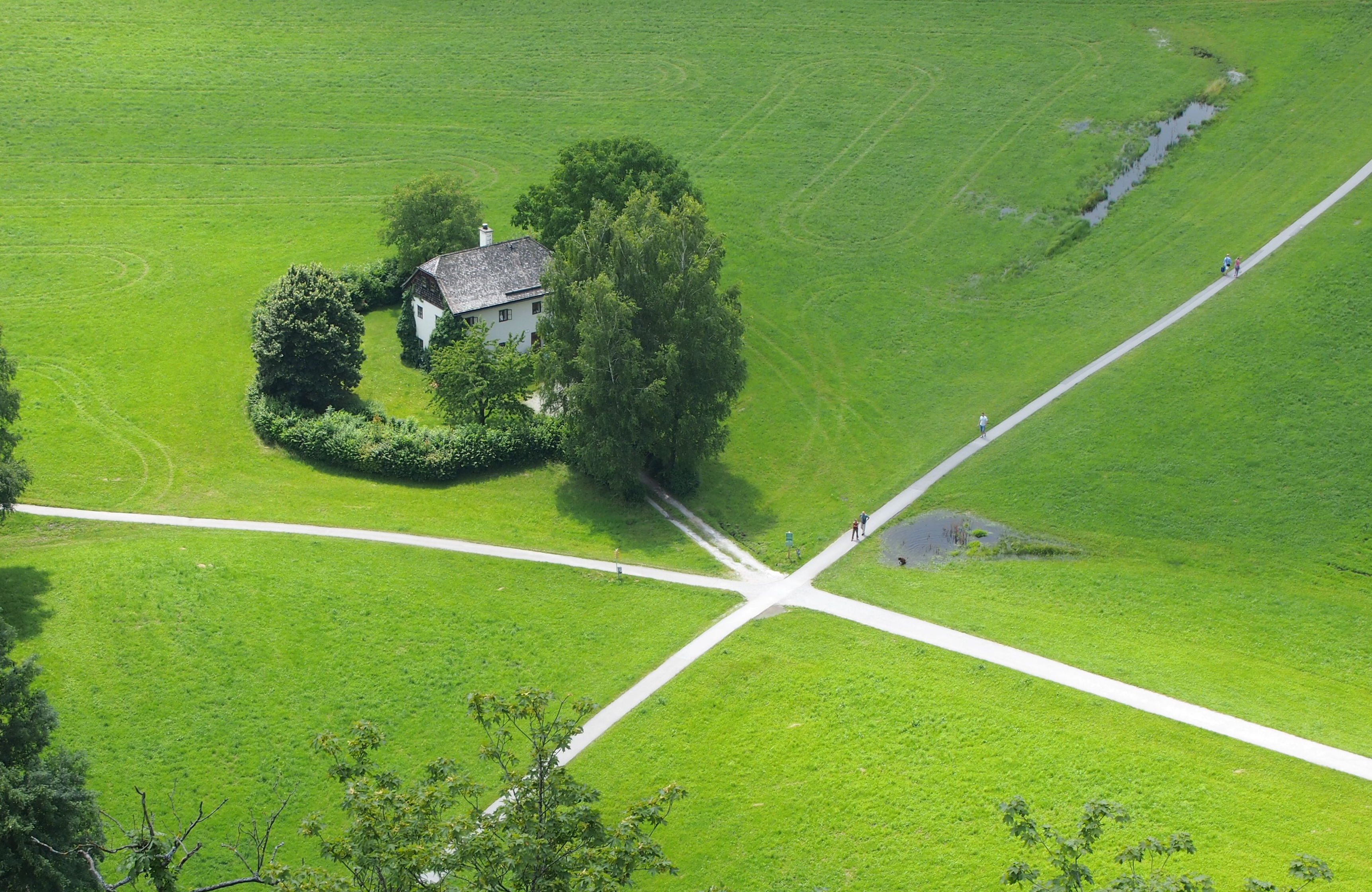 crossroads on the field