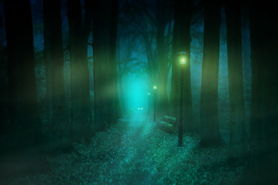 Gaslamps lighting the way through a dark forest