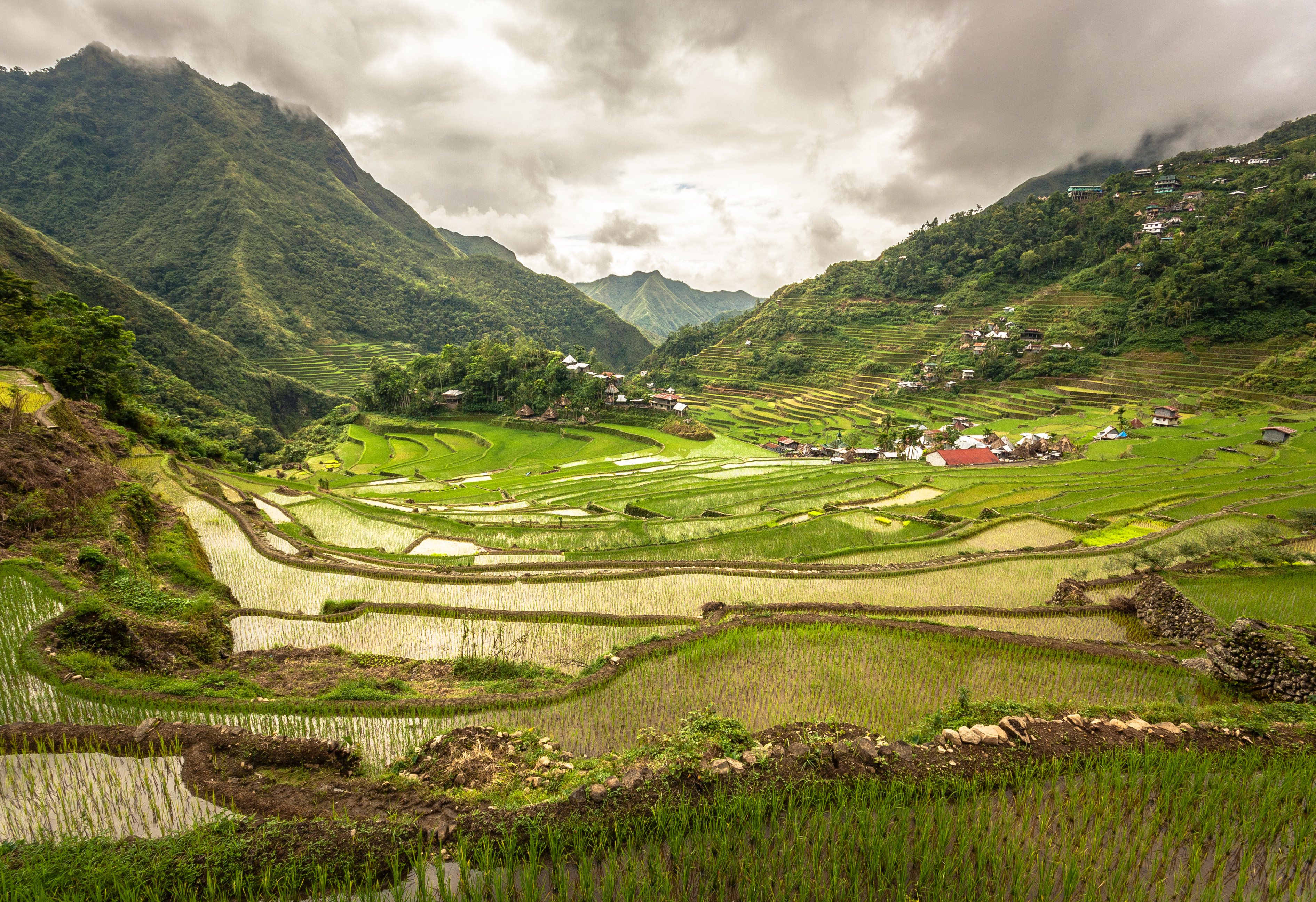 Batad rice terraces in the Philippines, by Adi.simionov / CC BY-SA 3.0