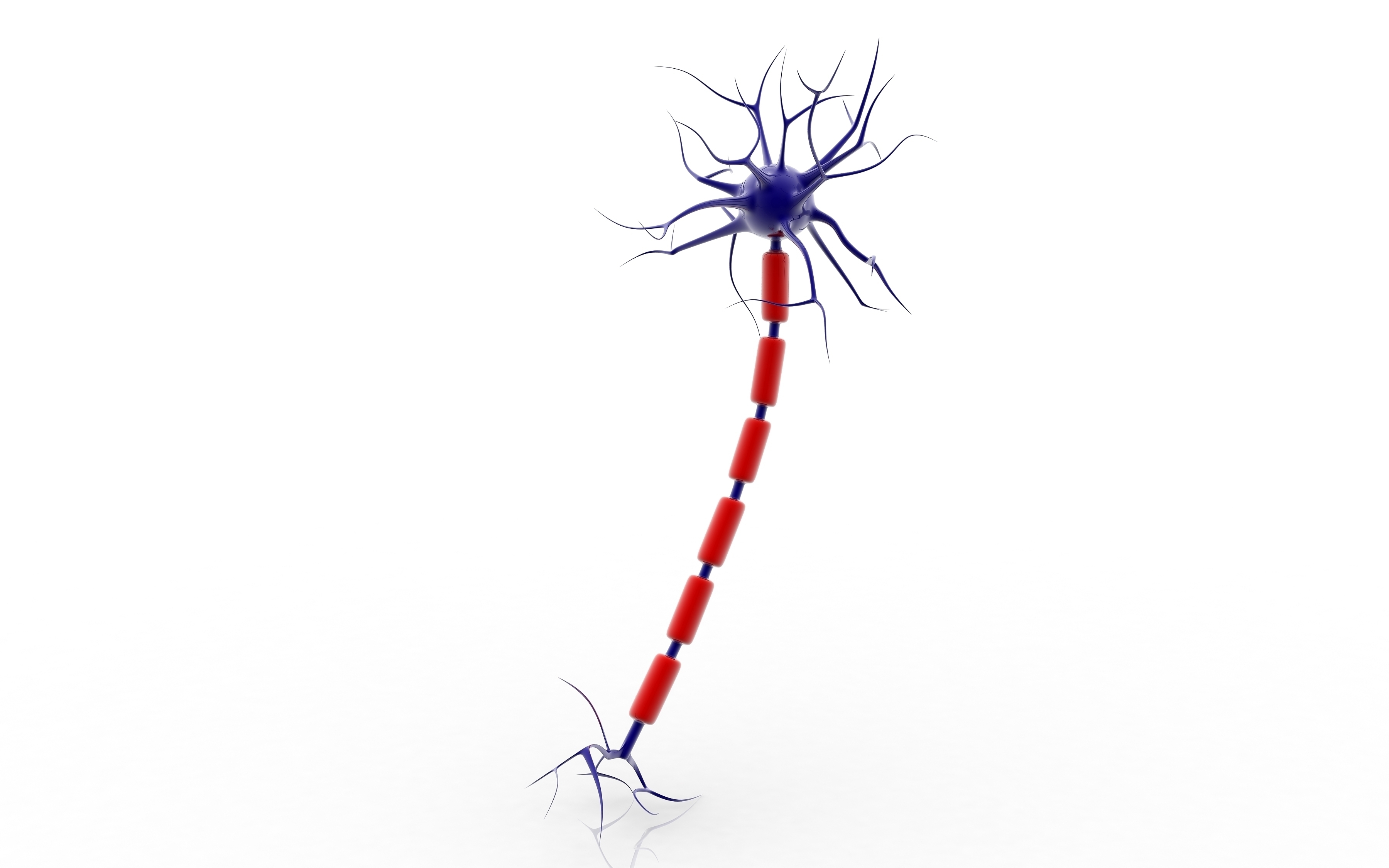 Image of a neurone