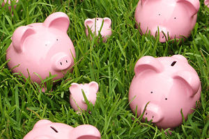 Pink piggy banks on grass