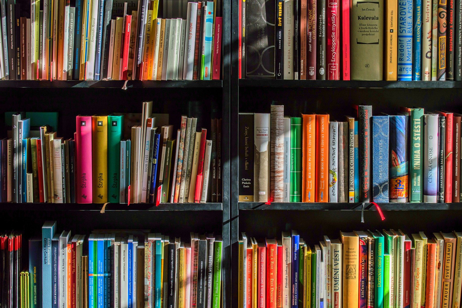 Picture of books on a shelf