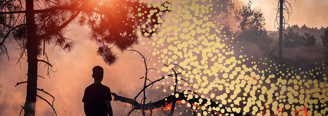 the shadow of a young person against a burning landscape with the sunset peaking through trees