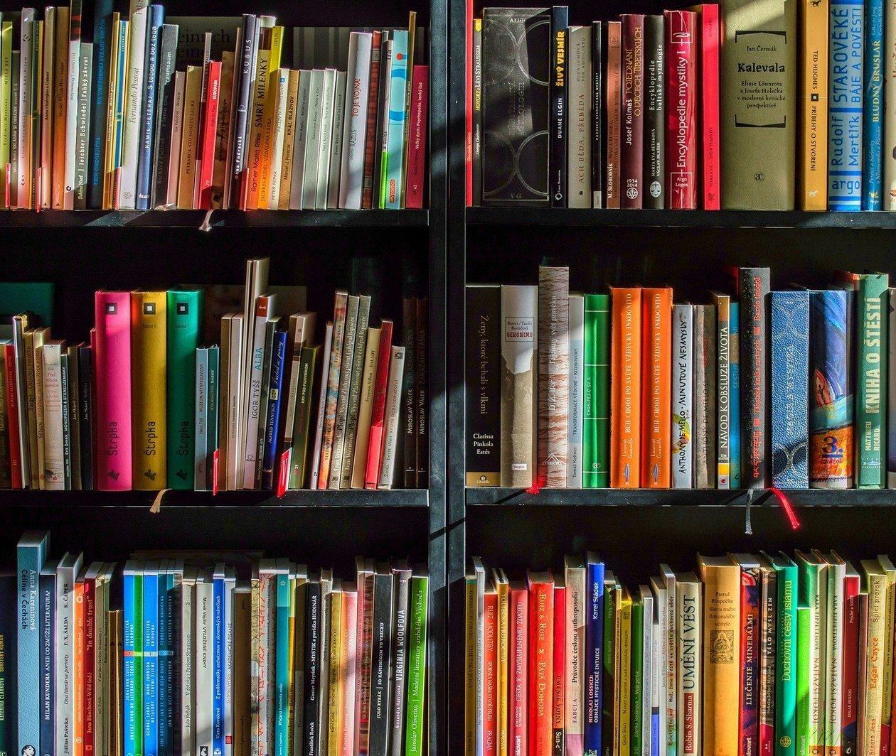 A picture of a library bookcase