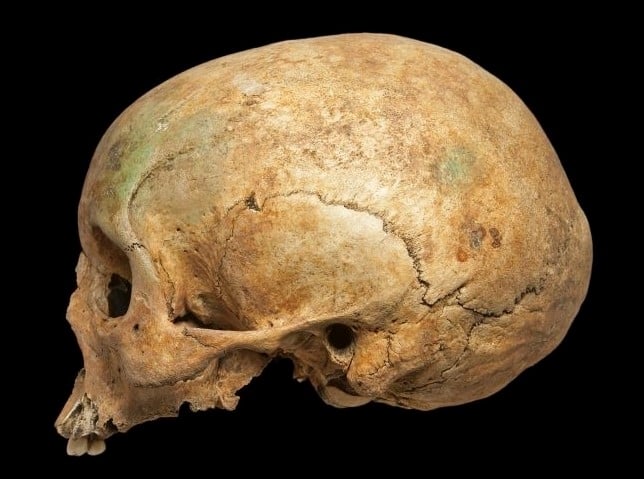 A female skull in profile