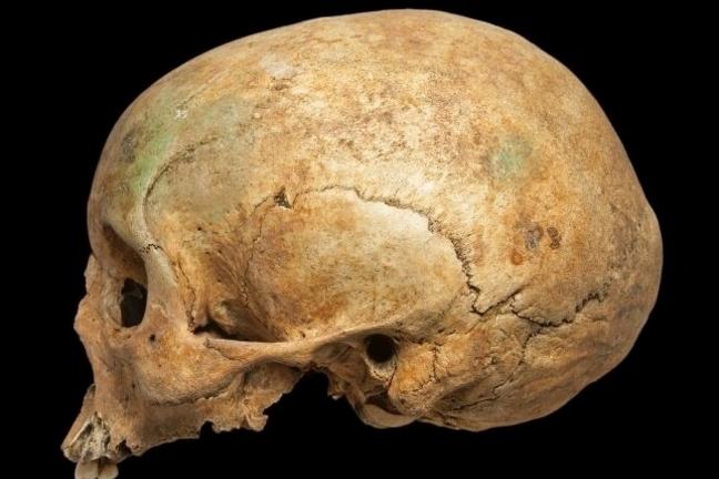A female skull in profile