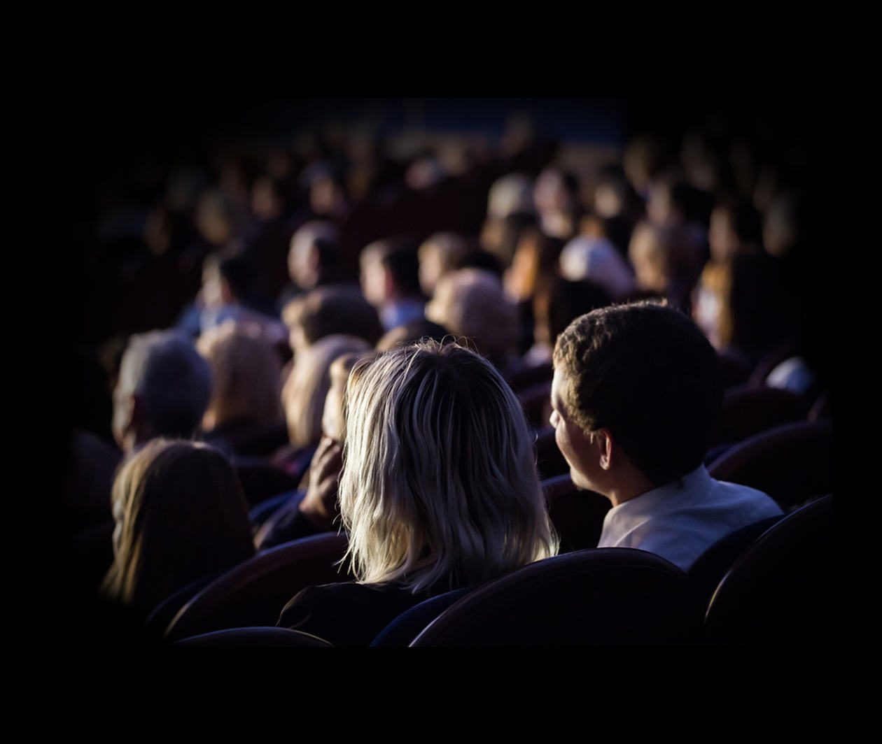 Audience in a theatre