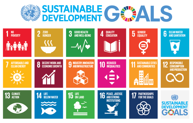 The United Nations Sustainable Development Goal's