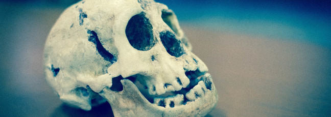 'The Hobbit' skull