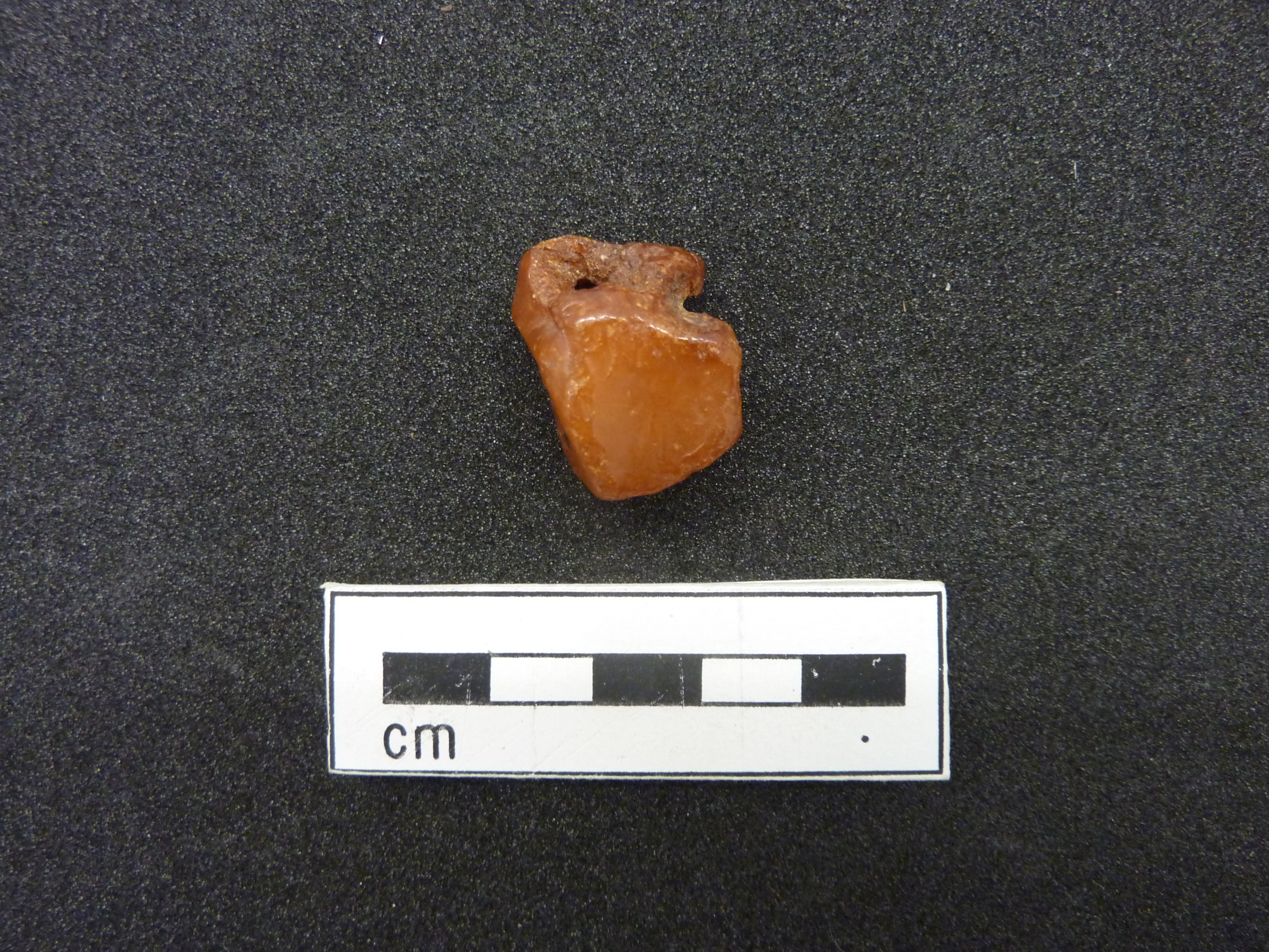 The perforated amber bead from Clark's excavations at Star Carr