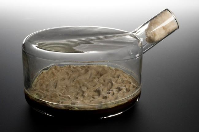 Photo of a penicillin fermentation flask