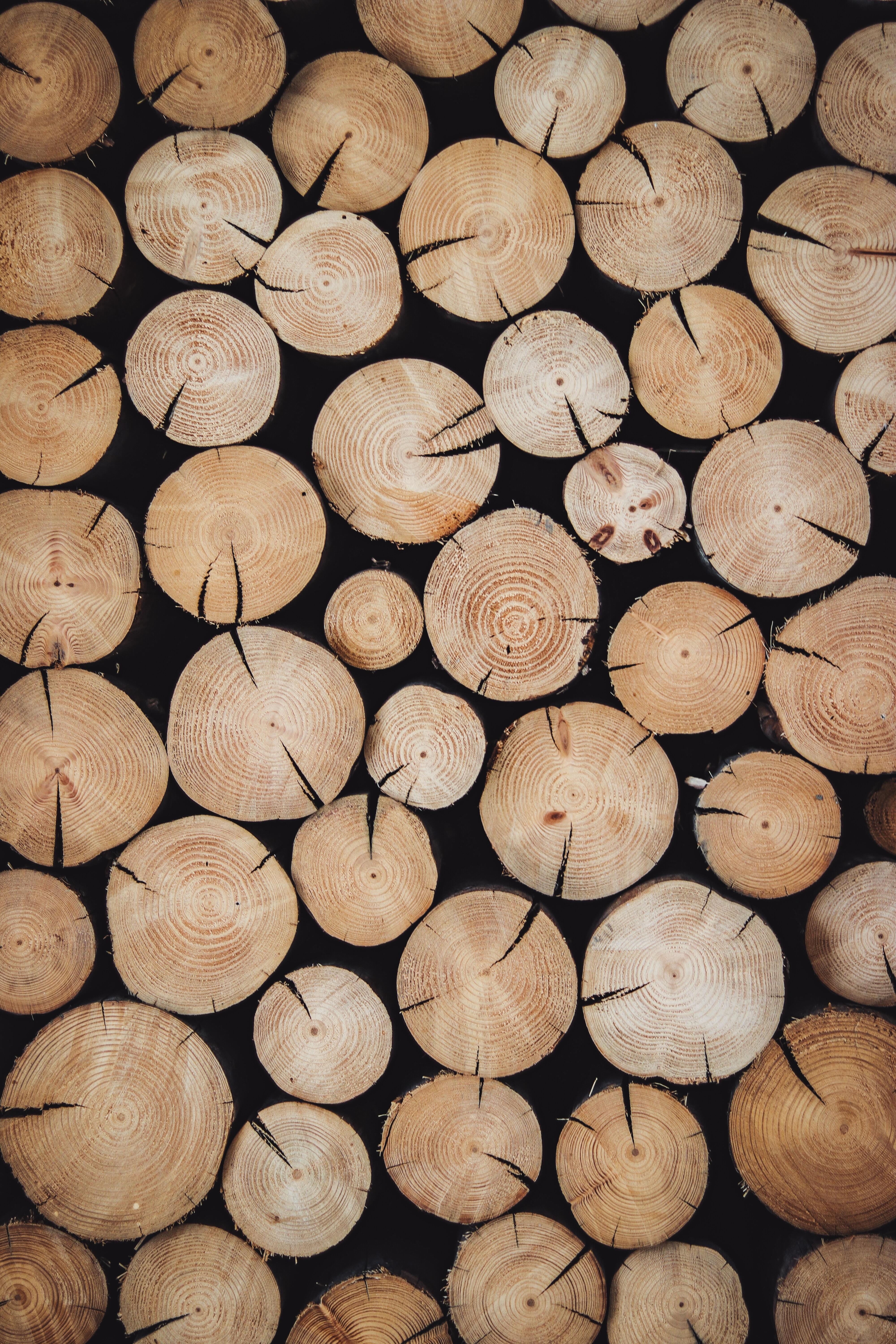 A stack of logs