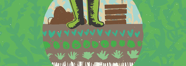 a pair of boots and various small plants growing in a field
